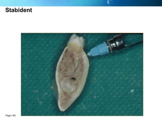 Stabident




Page  69
 