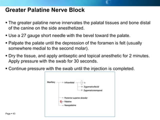 Greater Palatine Nerve Block

 The greater palatine nerve innervates the palatal tissues and bone distal
  of the canine ...