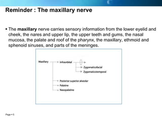 Reminder : The maxillary nerve


 The maxillary nerve carries sensory information from the lower eyelid and
  cheek, the ...