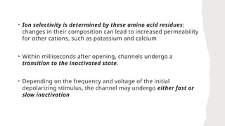 • Ion selectivity is determined by these amino acid residues;
changes in their composition can lead to increased permeability
for other cations, such as potassium and calcium
• Within milliseconds after opening, channels undergo a
transition to the inactivated state.
• Depending on the frequency and voltage of the initial
depolarizing stimulus, the channel may undergo either fast or
slow inactivation
 