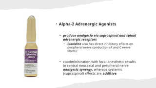 • Alpha-2 Adrenergic Agonists
• produce analgesia via supraspinal and spinal
adrenergic receptors
• Clonidine also has direct inhibitory effects on
peripheral nerve conduction (A and C nerve
fibers)
• coadministration with local anesthetic results
in central neuraxial and peripheral nerve
analgesic synergy, whereas systemic
(supraspinal) effects are additive
 