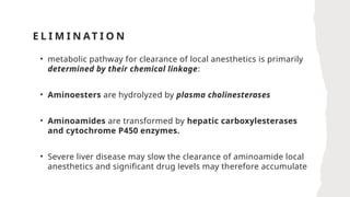 E L I M I N AT I O N
• metabolic pathway for clearance of local anesthetics is primarily
determined by their chemical linkage:
• Aminoesters are hydrolyzed by plasma cholinesterases
• Aminoamides are transformed by hepatic carboxylesterases
and cytochrome P450 enzymes.
• Severe liver disease may slow the clearance of aminoamide local
anesthetics and significant drug levels may therefore accumulate
 