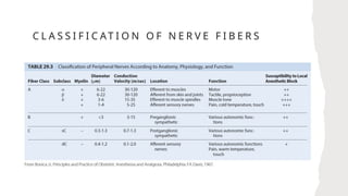 C L A S S I F I C AT I O N O F N E R V E F I B E R S
 