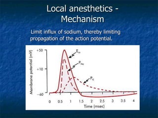 Local anesthetics - Mechanism Limit influx of sodium, thereby limiting propagation of the action potential. 