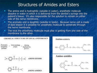 Structures of Amides and Esters The amine end is hydrophilic (soluble in water), anesthetic molecule dissolve in water in which it is delivered from the dentist’s syringe into the patient’s tissue.  It’s also responsible for the solution to remain on either side of the nerve membrane.  The aromatic end is lipophilic (soluble in lipids).  Because nerve cell is made of lipid bilayer it is possible for anesthetic molecule to penetrate through the nerve membrane.  The trick the anesthetic molecule must play is getting from one side of the membrane to the other. 