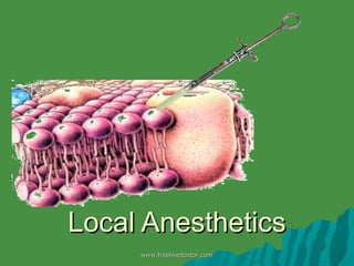 Local Anesthetics www.freelivedoctor.com 