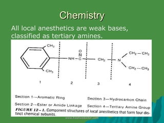 Local anesthetics | PPT