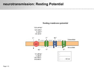 neurotransmission: Resting Potential




Page  13
 