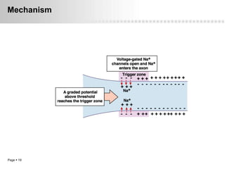 Mechanism




Page  19
 