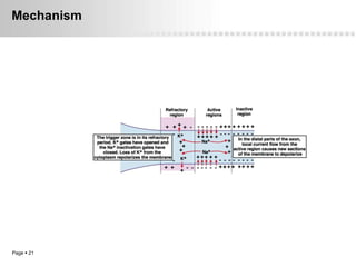 Mechanism




Page  21
 