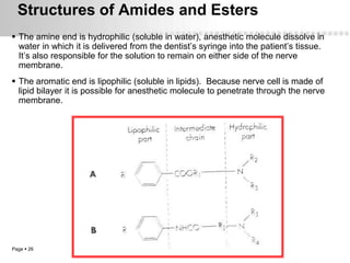Structures of Amides and Esters
 The amine end is hydrophilic (soluble in water), anesthetic molecule dissolve in
  water in which it is delivered from the dentist’s syringe into the patient’s tissue.
  It’s also responsible for the solution to remain on either side of the nerve
  membrane.
 The aromatic end is lipophilic (soluble in lipids). Because nerve cell is made of
  lipid bilayer it is possible for anesthetic molecule to penetrate through the nerve
  membrane.




Page  26
 