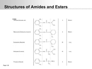 Structures of Amides and Esters




Page  28
 