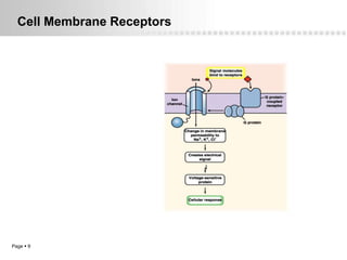 Cell Membrane Receptors




Page  9
 