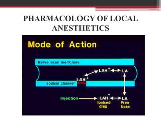 PHARMACOLOGY OF LOCAL
ANESTHETICS

 