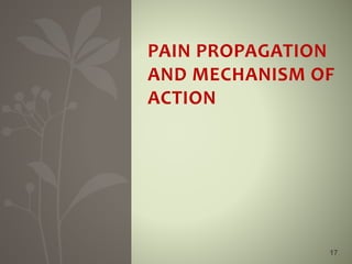 17
PAIN PROPAGATION
AND MECHANISM OF
ACTION
 
