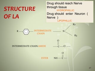 STRUCTURE
OF LA
R INTERMEDIATE
CHAIN
N
R2
R3
INTERMEDIATE CHAIN:AMIDE C O
O
ESTER NH C
O
Drug should reach Nerve
through tissue
HYDROPHILLIC
Drug should enter Neuron (
Nerve )
LIPOPHILLIC
27
 