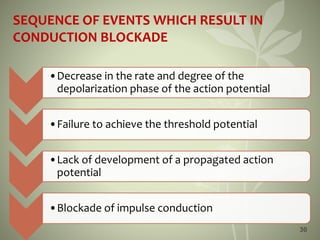 30
SEQUENCE OF EVENTS WHICH RESULT IN
CONDUCTION BLOCKADE
•Decrease in the rate and degree of the
depolarization phase of the action potential
•Failure to achieve the threshold potential
•Lack of development of a propagated action
potential
•Blockade of impulse conduction
 