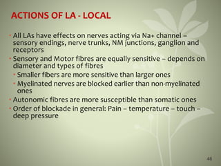 46
ACTIONS OF LA - LOCAL
• All LAs have effects on nerves acting via Na+ channel –
sensory endings, nerve trunks, NM junctions, ganglion and
receptors
• Sensory and Motor fibres are equally sensitive – depends on
diameter and types of fibres
• Smaller fibers are more sensitive than larger ones
• Myelinated nerves are blocked earlier than non-myelinated
ones
• Autonomic fibres are more susceptible than somatic ones
• Order of blockade in general: Pain – temperature – touch –
deep pressure
 