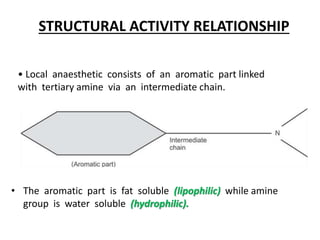 • Local anaesthetic consists of an aromatic part linked
with tertiary amine via an intermediate chain.
• The aromatic part is fat soluble (lipophilic) while amine
group is water soluble (hydrophilic).
STRUCTURAL ACTIVITY RELATIONSHIP
 