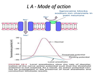 L A - Mode of action
 