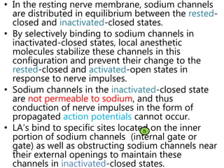 • In the resting nerve membrane, sodium channels
are distributed in equilibrium between the rested-
closed and inactivated-closed states.
• By selectively binding to sodium channels in
inactivated-closed states, local anesthetic
molecules stabilize these channels in this
configuration and prevent their change to the
rested-closed and activated-open states in
response to nerve impulses.
• Sodium channels in the inactivated-closed state
are not permeable to sodium, and thus
conduction of nerve impulses in the form of
propagated action potentials cannot occur.
• LA’s bind to specific sites located on the inner
portion of sodium channels (internal gate or
gate) as well as obstructing sodium channels near
their external openings to maintain these
channels in inactivated-closed states.
h
 