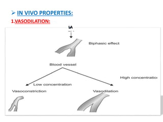  IN VIVO PROPERTIES:
1.VASODILATION:
LA
 