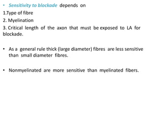 • Sensitivity to blockade depends on
1.Type of fibre
2. Myelination
3. Critical length of the axon that must be exposed to LA for
blockade.
• As a general rule thick (large diameter) fibres are less sensitive
than small diameter fibres.
• Nonmyelinated are more sensitive than myelinated fibers.
 