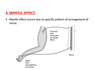 4. MANTLE EFFECT:
 Mantle effect occurs due to specific pattern of arrangement of
nerve.
 