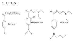 1. ESTERS :
Chloroprocaine Tetracaine
 