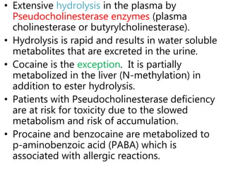 • Extensive hydrolysis in the plasma by
Pseudocholinesterase enzymes (plasma
cholinesterase or butyrylcholinesterase).
• Hydrolysis is rapid and results in water soluble
metabolites that are excreted in the urine.
• Cocaine is the exception. It is partially
metabolized in the liver (N-methylation) in
addition to ester hydrolysis.
• Patients with Pseudocholinesterase deficiency
are at risk for toxicity due to the slowed
metabolism and risk of accumulation.
• Procaine and benzocaine are metabolized to
p-aminobenzoic acid (PABA) which is
associated with allergic reactions.
 