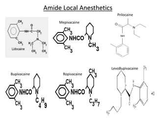 Amide Local Anesthetics
Mepivacaine
Prilocaine
Bupivacaine Ropivacaine
LevoBupivacaine
 
