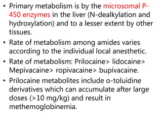 • Primary metabolism is by the microsomal P-
450 enzymes in the liver (N-dealkylation and
hydroxylation) and to a lesser extent by other
tissues.
• Rate of metabolism among amides varies
according to the individual local anesthetic.
• Rate of metabolism: Prilocaine> lidocaine>
Mepivacaine> ropivacaine> bupivacaine.
• Prilocaine metabolites include o-toluidine
derivatives which can accumulate after large
doses (>10 mg/kg) and result in
methemoglobinemia.
 