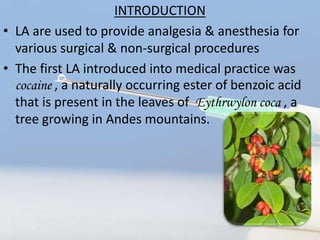 INTRODUCTION
• LA are used to provide analgesia & anesthesia for
various surgical & non-surgical procedures
• The first LA introduced into medical practice was
cocaine , a naturally occurring ester of benzoic acid
that is present in the leaves of Eythrwylon coca , a
tree growing in Andes mountains.
 