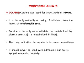 INDIVIDUAL AGENTS
 COCAINE: Cocaine was used for anaesthetizing cornea.
• It is the only naturally occurring LA obtained from the
leaves of erythroxylin coca.
• Cocaine is the only ester which is not metabolized by
plasma esterase(it is metabolized in liver).
• The only indication for cocaine is in ocular anaesthesia.
• It should never be used with adrenaline due to its
sympathomimetic property.
 