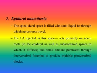 5. Epidural anaesthesia
– The spinal dural space is filled with semi liquid fat through
which nerve roots travel.
– The LA injected in this space— acts primarily on nerve
roots (in the epidural as well as subarachnoid spaces to
which it diffuses) and small amount permeates through
intervertebral foramina to produce multiple paravertebral
blocks.
 