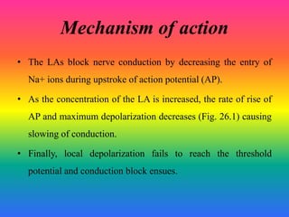 Mechanism of action
• The LAs block nerve conduction by decreasing the entry of
Na+ ions during upstroke of action potential (AP).
• As the concentration of the LA is increased, the rate of rise of
AP and maximum depolarization decreases (Fig. 26.1) causing
slowing of conduction.
• Finally, local depolarization fails to reach the threshold
potential and conduction block ensues.
 