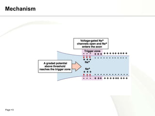 Mechanism




Page  6
 