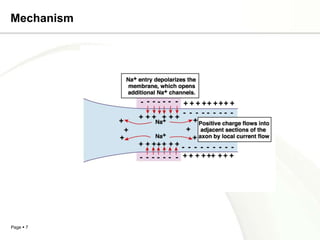 Mechanism




Page  7
 