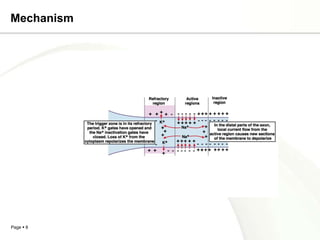 Mechanism




Page  8
 