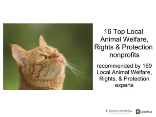 recommended by 169 Local Animal Welfare, Rights, & Protection experts 16 Top Local  Animal Welfare, Rights & Protection  nonprofits    at 
