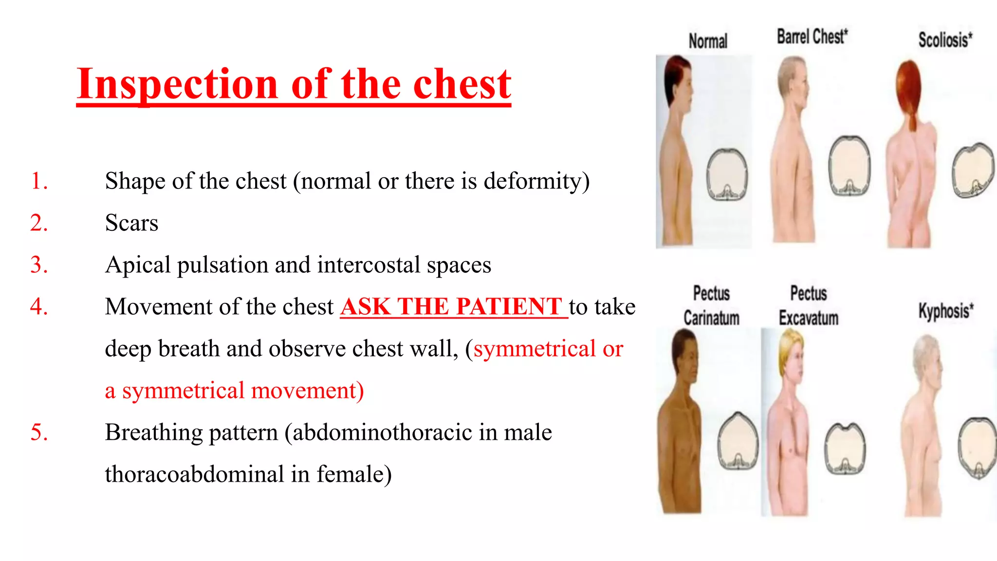 Local chest examination | PPTX | Lung and Respiratory Health | Diseases ...