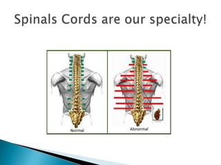 Spinals Cords are our specialty!