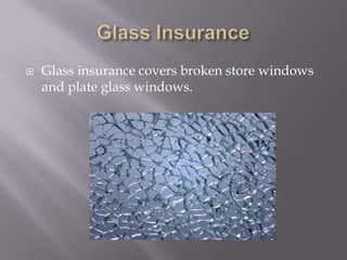 Glass InsuranceGlass insurance covers broken store windows and plate glass windows.
