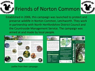 Friends of Norton Common
Established in 2006, this campaign was launched to protect and
preserve wildlife in Norton Common, Letchworth. They work
in partnership with North Hertfordshire District Council and
the Countryside Management Service. The campaign was
aimed at and made by local people.
Leaflet from their campaign.
 