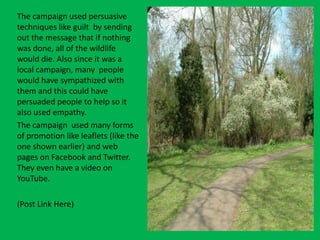 The campaign used persuasive
techniques like guilt by sending
out the message that if nothing
was done, all of the wildlife
would die. Also since it was a
local campaign, many people
would have sympathized with
them and this could have
persuaded people to help so it
also used empathy.
The campaign used many forms
of promotion like leaflets (like the
one shown earlier) and web
pages on Facebook and Twitter.
They even have a video on
YouTube.
(Post Link Here)
 