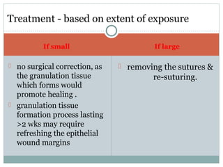 Treatment - based on extent of exposure
If small

If large

 no surgical correction, as

 removing the sutures &

the granulation tissue
which forms would
promote healing .
 granulation tissue
formation process lasting
>2 wks may require
refreshing the epithelial
wound margins

re-suturing.

 