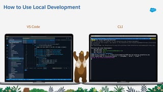 How to Use Local Development
VS Code CLI
 