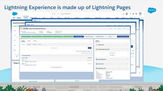 Lightning Experience is made up of Lightning Pages
 