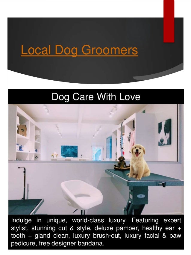 Local dog groomers near me