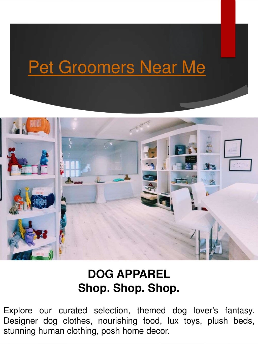 Local dog groomers near me